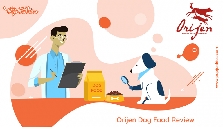 Orijen Dog Food Review