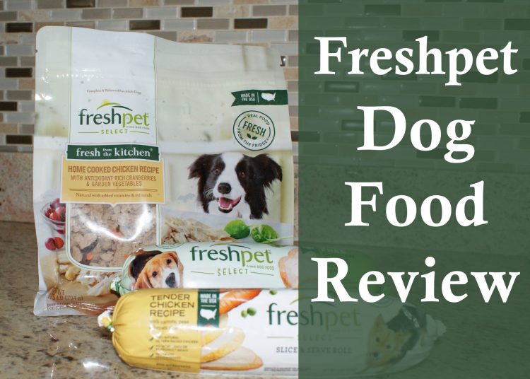 Freshpet Dog Food Review