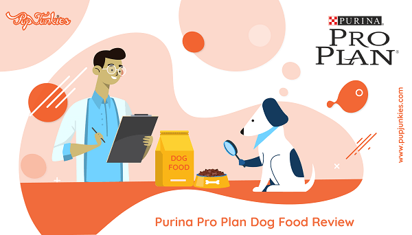 Purina Pro Plan Dog Food Review