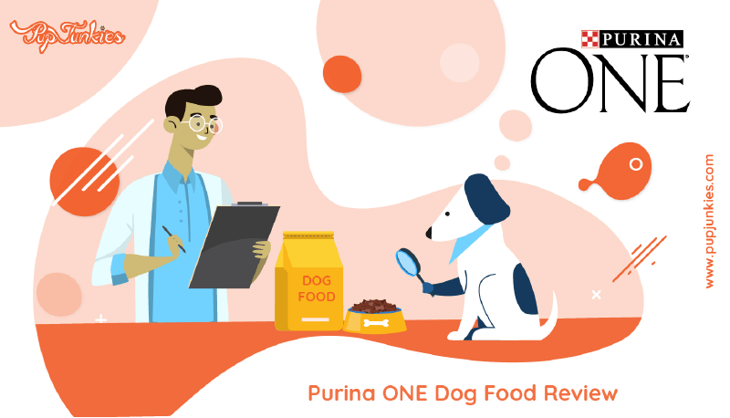 Purina ONE Dog Food Review