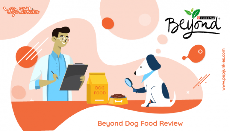 Beyond Dog Food Review