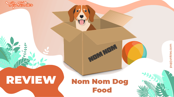 Nom Nom Dog Food Review