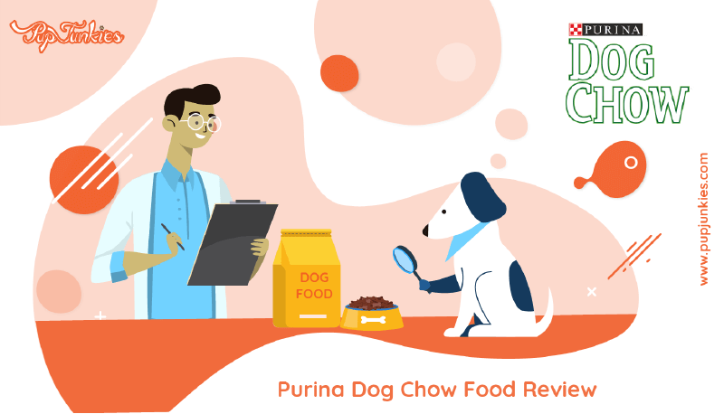 Purina Dog Chow Dog Food Review