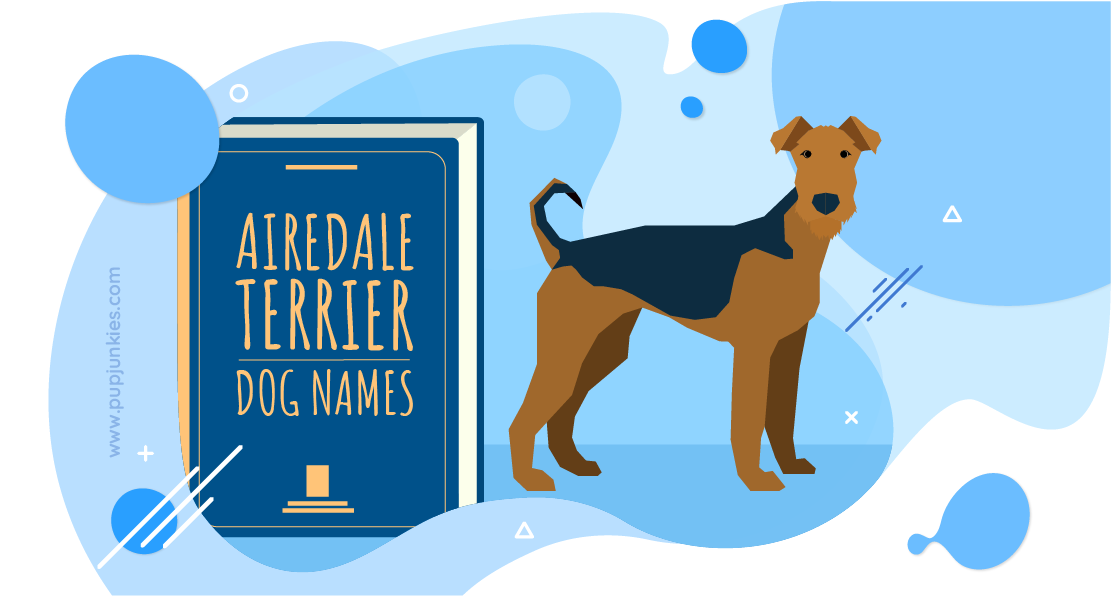 Airedale Terrier Dog Names