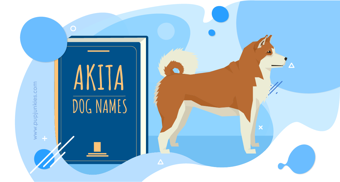Akita Dog Names