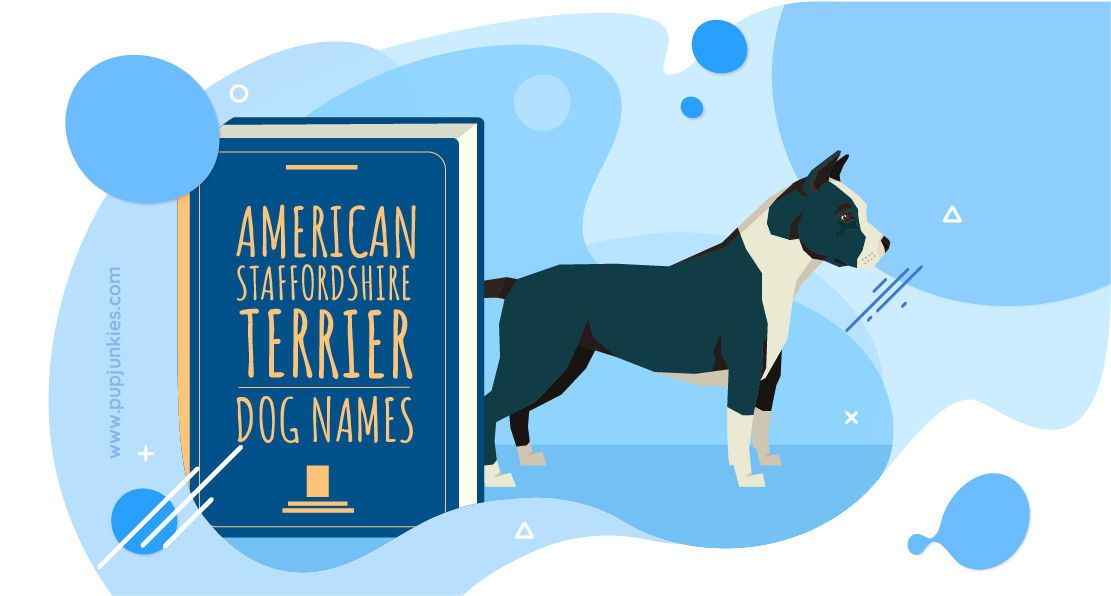 American Staffordshire Terrier Dog Names