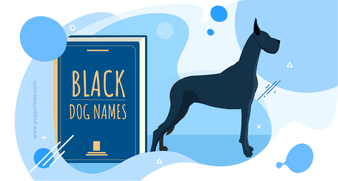 Black Dog Names