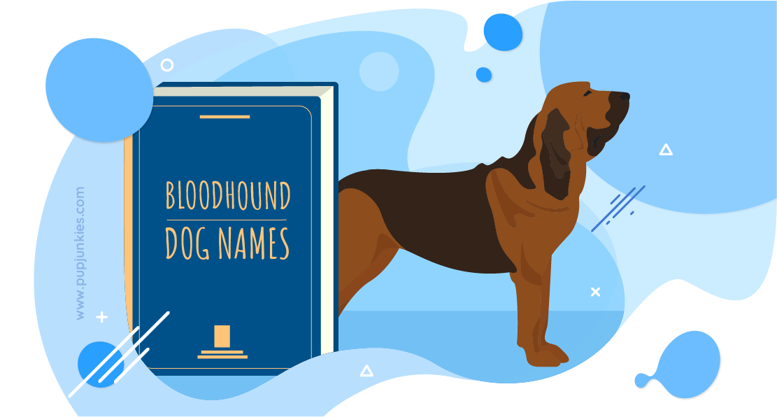 Most Popular Bloodhound Dog Names