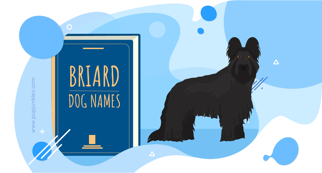 Briard Dog Names