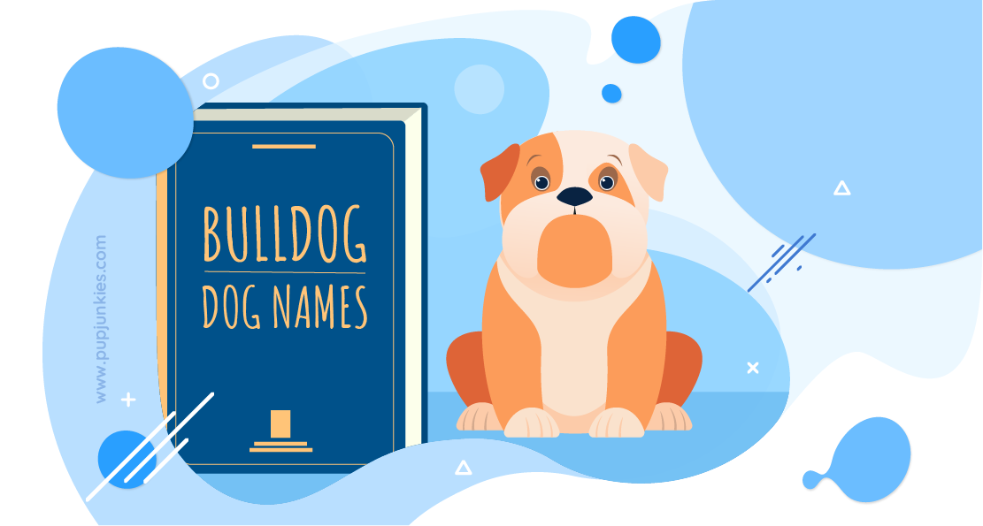 Bulldog Dog Names