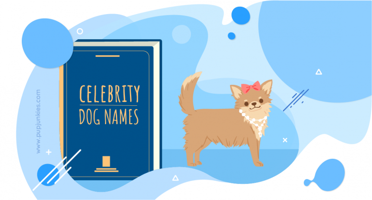 Popular Celebrity Dog Names