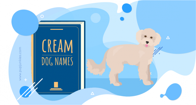 Cream Dog Names 768x412 