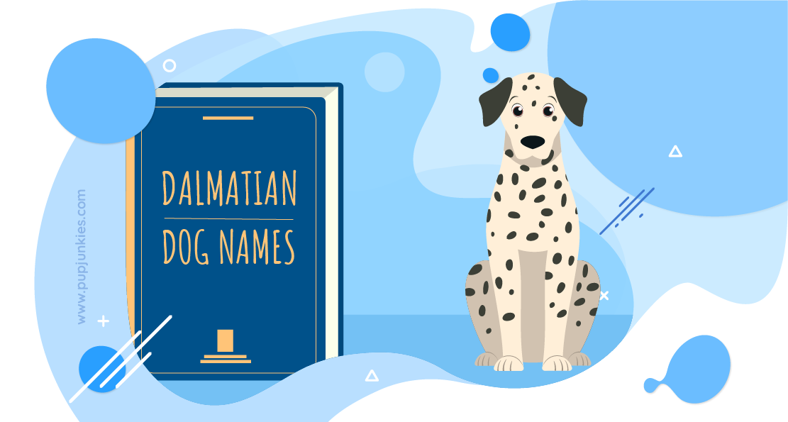 Dalmatian Dog Names