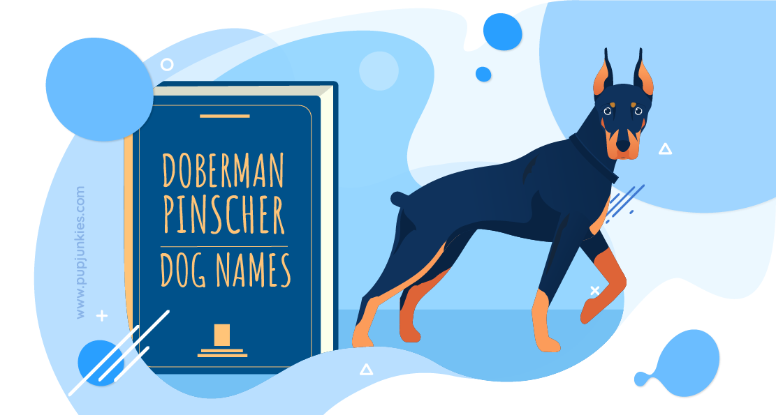 Doberman Pinscher Dog Names
