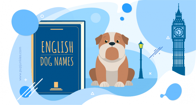 20-most-popular-english-dog-names-of-2021