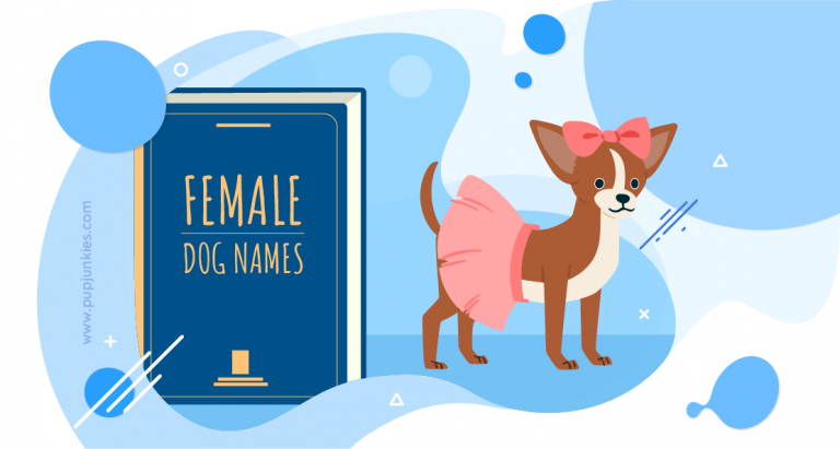 Female Dog Names