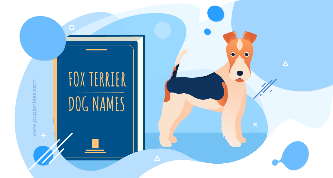 Fox Terrier Dog Names