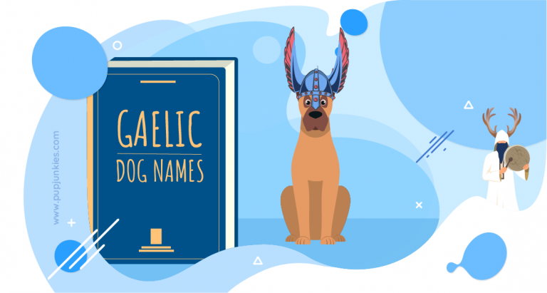 101-most-popular-gaelic-dog-names-of-2021