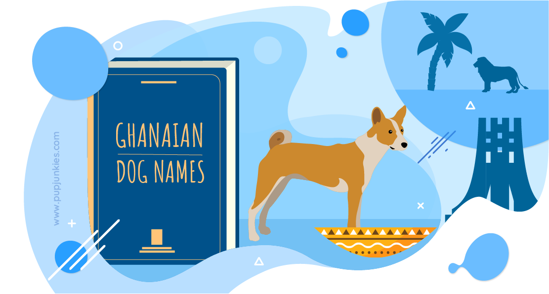 Ghanaian Dog Names