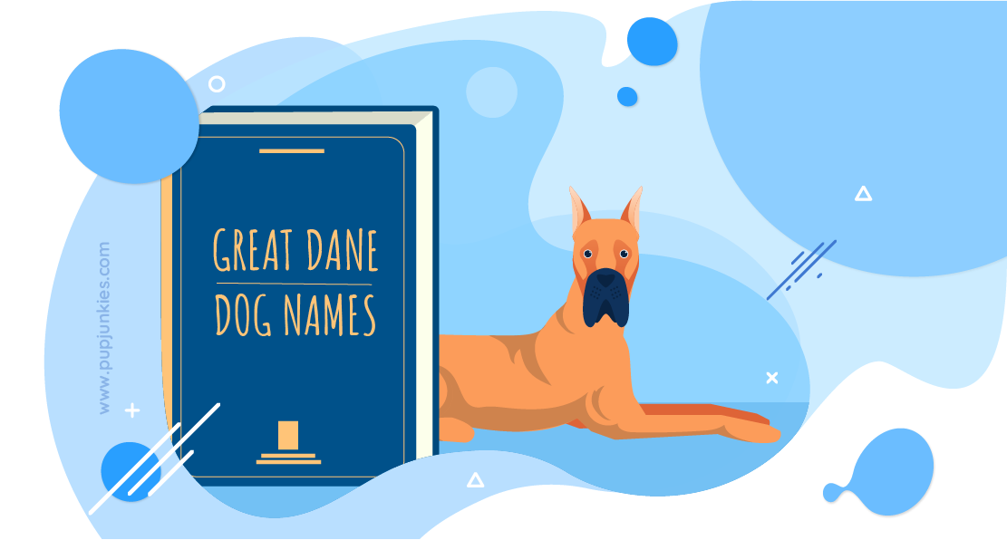 Great Dane Dog Names