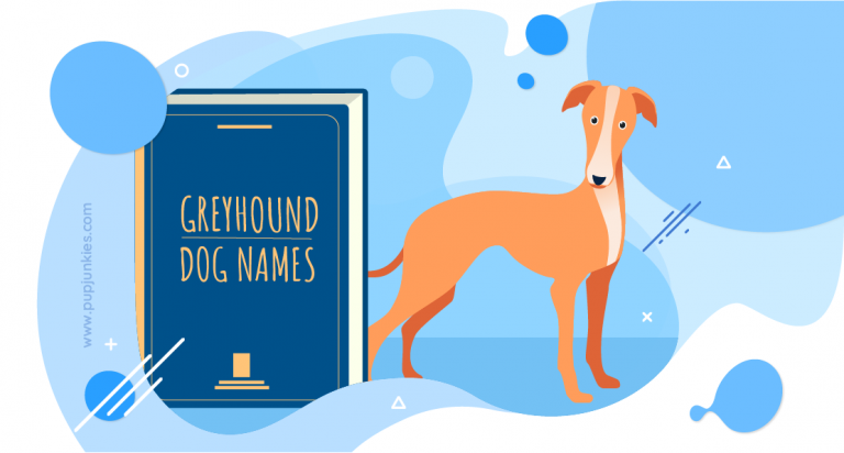 Greyhound Dog Names