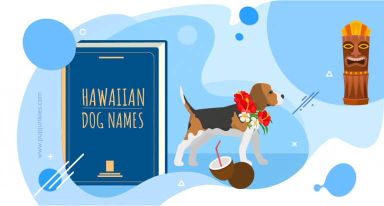 100 Most Popular Hawaiian Dog Names Of 2021   Hawaiian Dog Names 768x412 