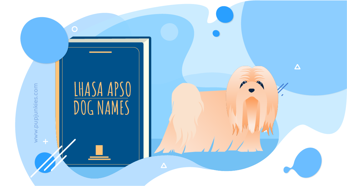 Lhasa Apso Dog Names
