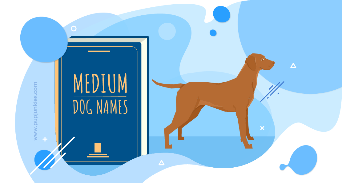 Medium Dog Names