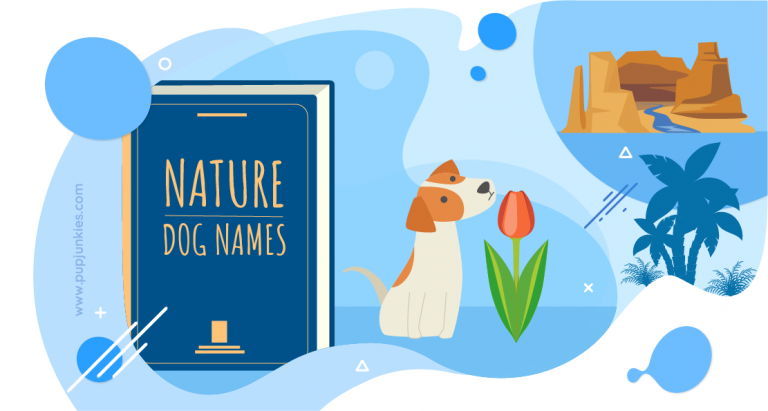 74 Most Popular Nature Dog Names Of 2021   Nature Dog Names 768x411 