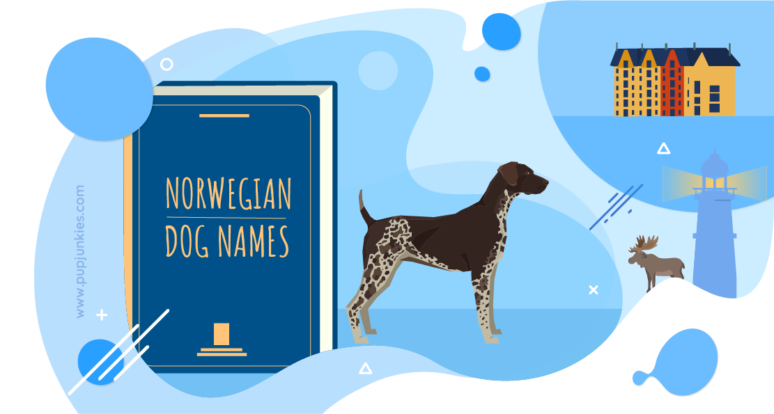 Norwegian Pet Names