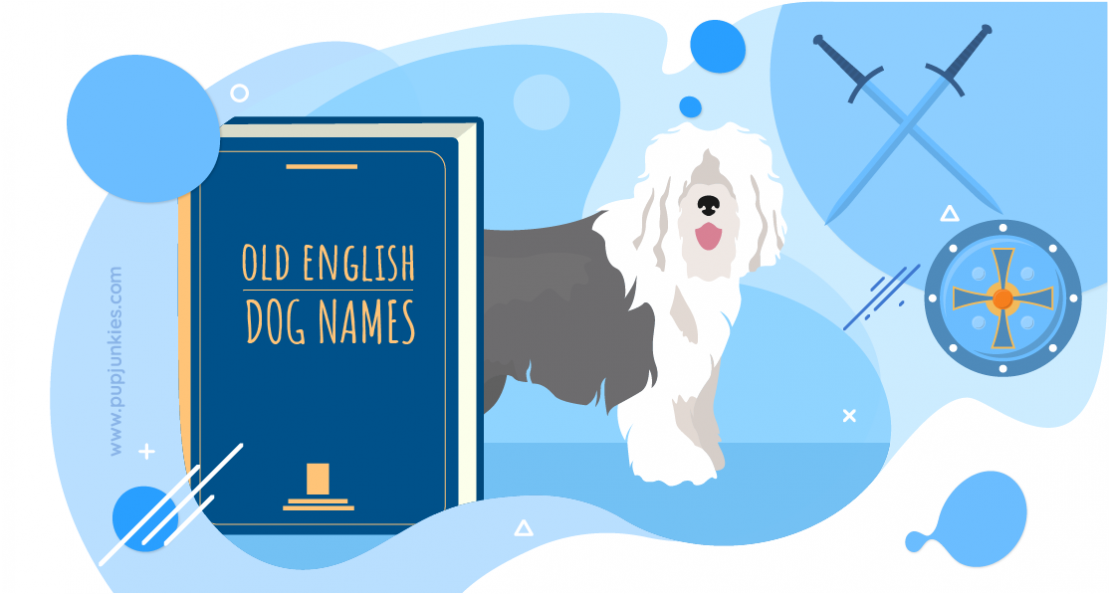 2-most-popular-old-english-dog-names-of-2021