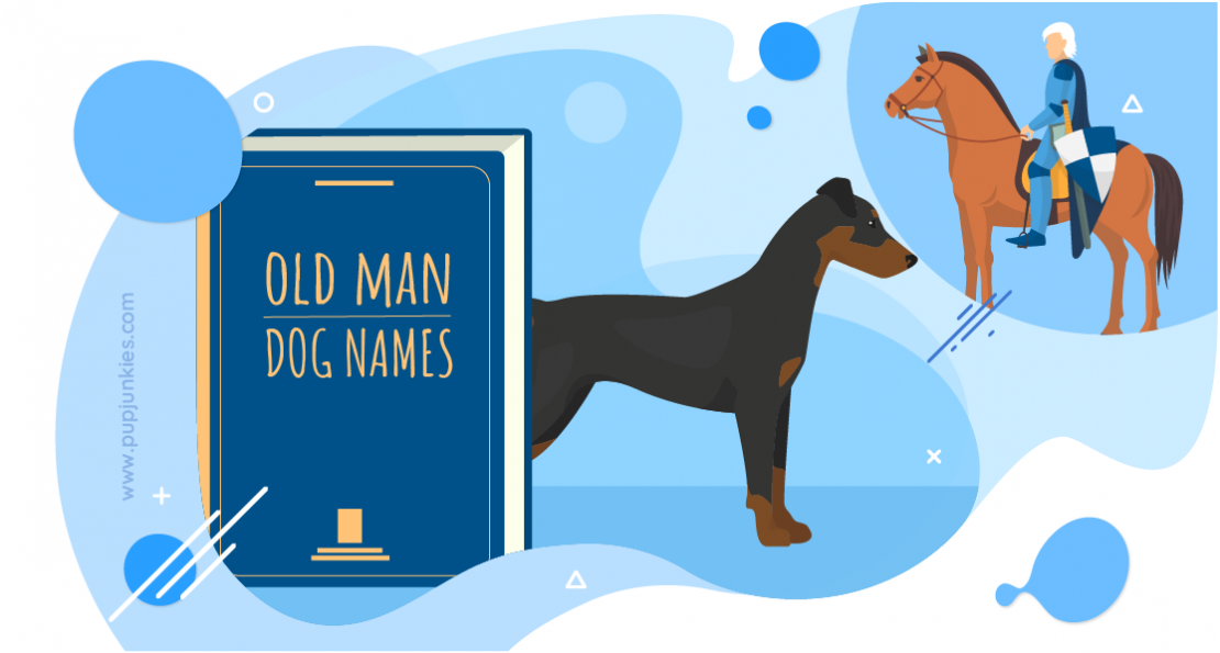 85 Most Popular Old Man Dog Names Of 2021   Old Man Dog Names 1110x595 