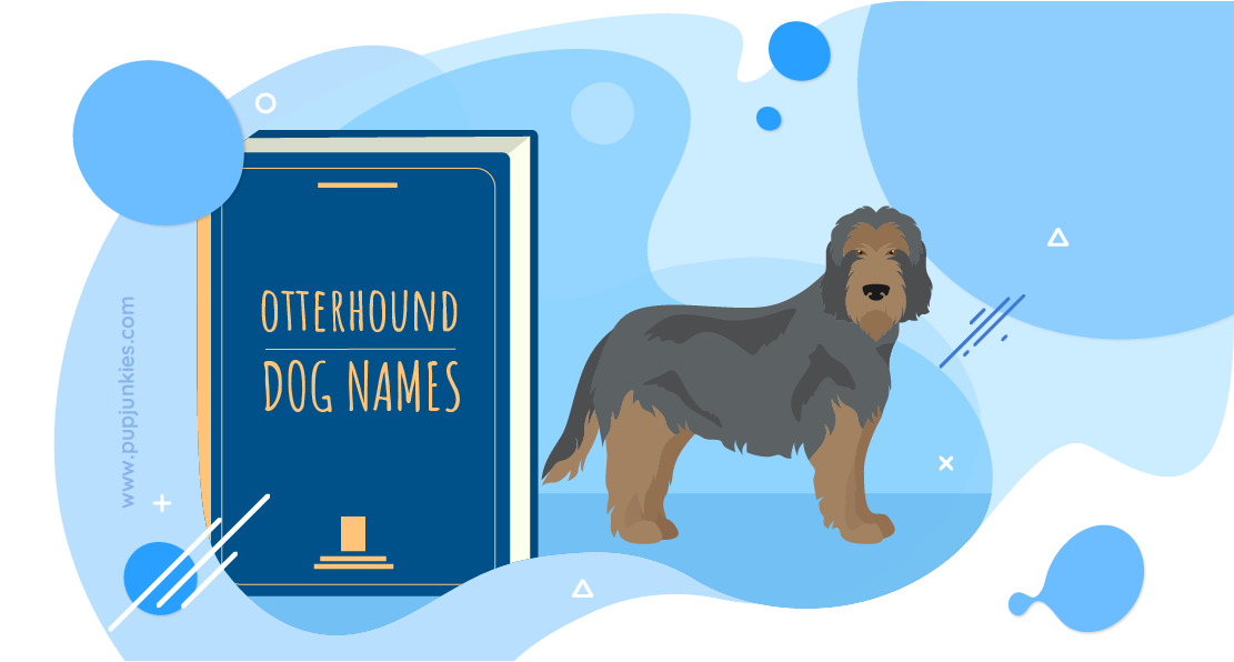 Otterhound Dog Names