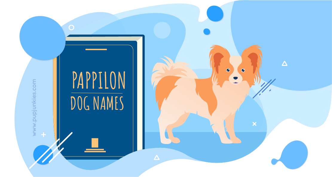 Papillon Dog Names