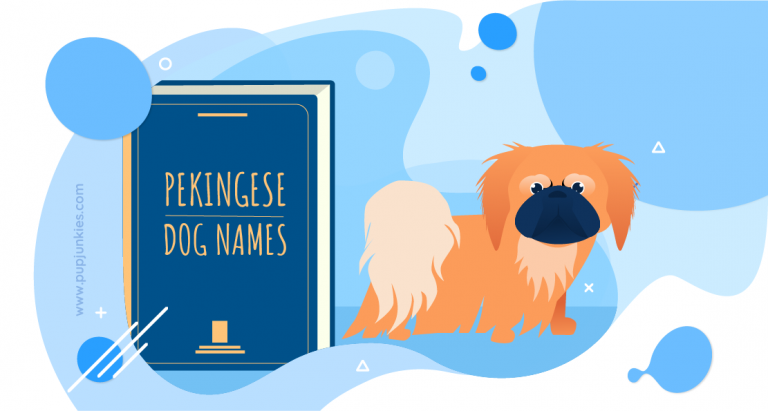 Adorable Pekingese Dog Names With Meanings