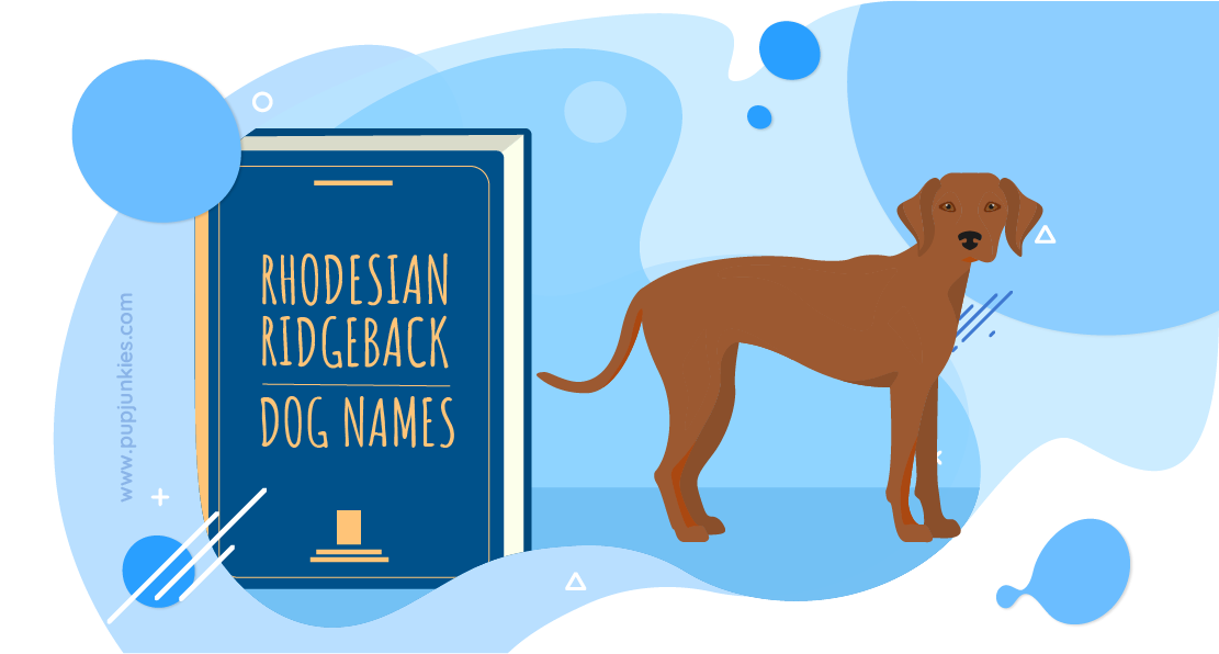 Rhodesian Ridgeback Dog Names
