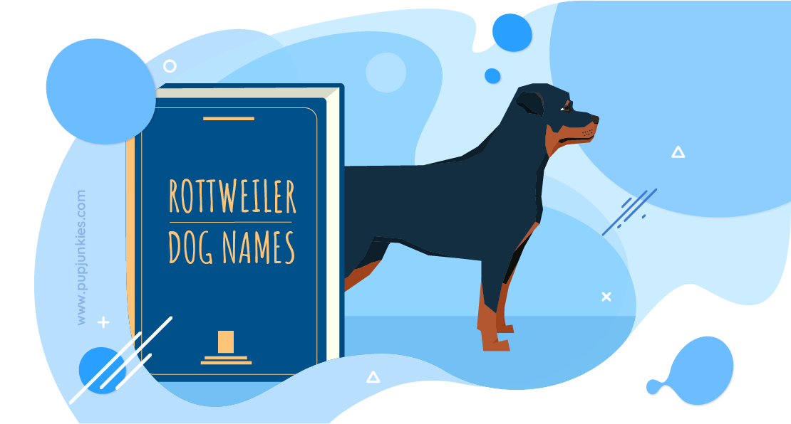 Rottweiler Dog Names