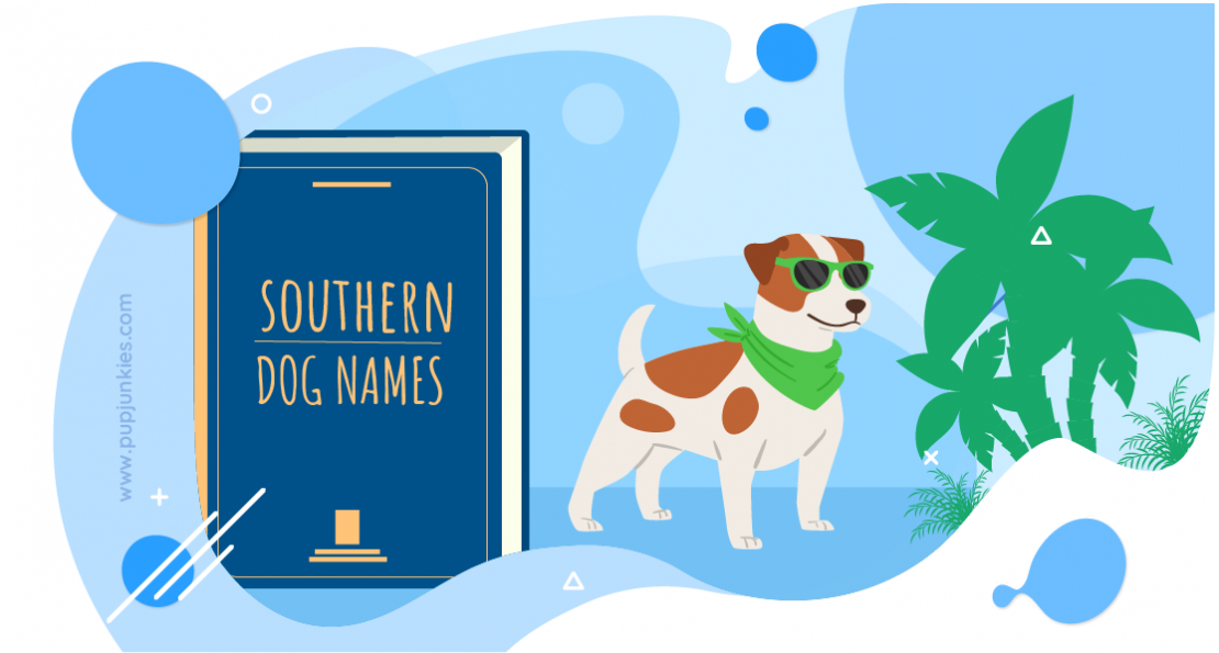 74-most-popular-southern-dog-names-of-2021