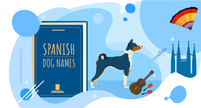 99 Most Popular Spanish Dog Names Of 2021