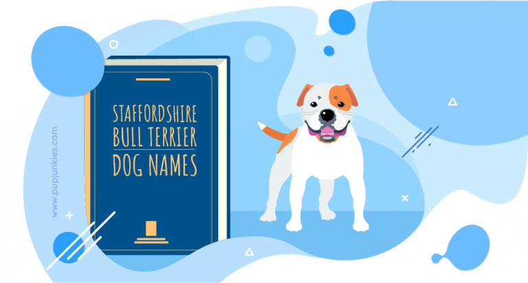 100 Most Popular Staffordshire Bull Terrier Dog Names Of 2021