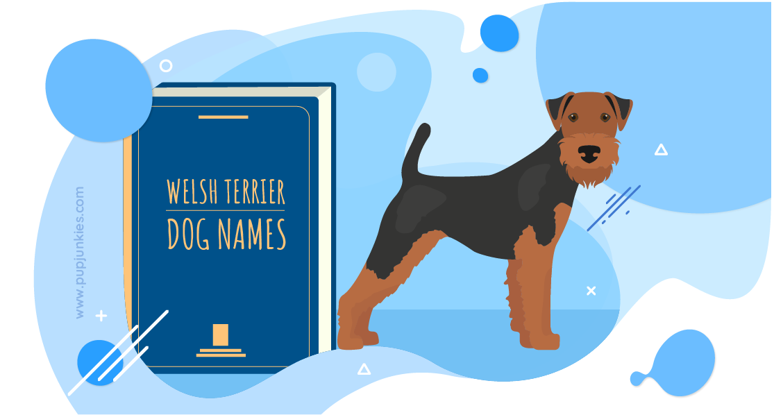 Welsh Terrier Dog Names