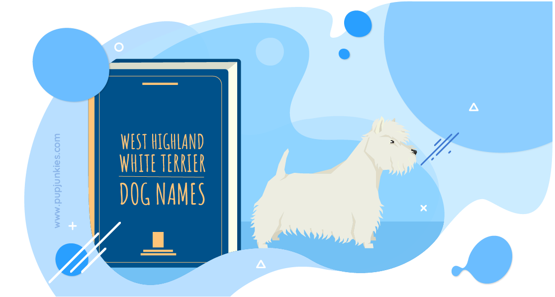 West Highland White Terrier Dog Names