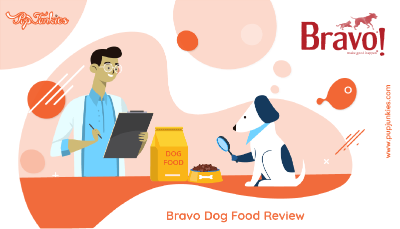 Bravo Dog Food Review
