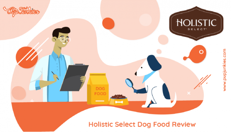 Holistic Select Dog Food Review