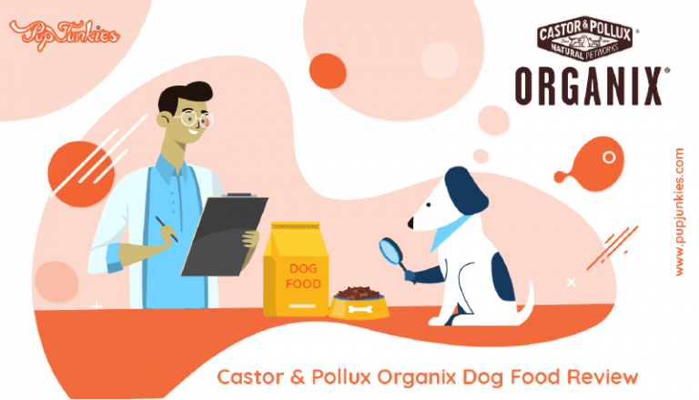 Castor & Pollux Organix Dog Food Review