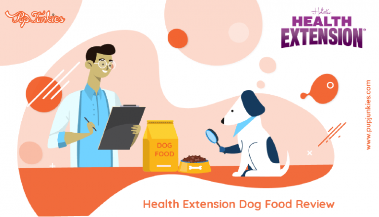 Health Extension Dog Food Review