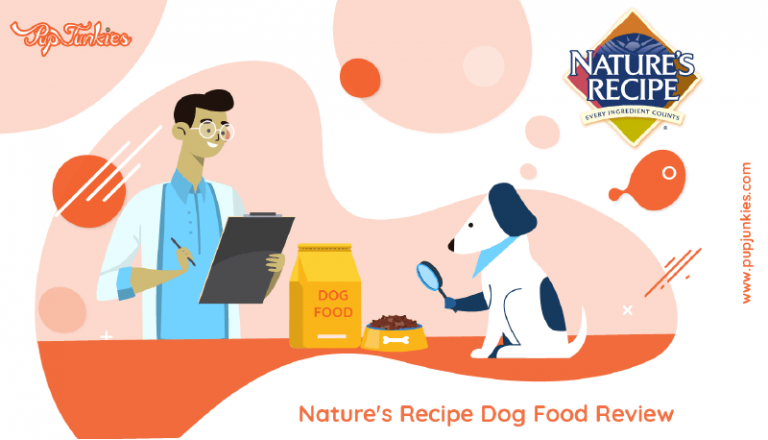 Nature's Recipe Dog Food Review