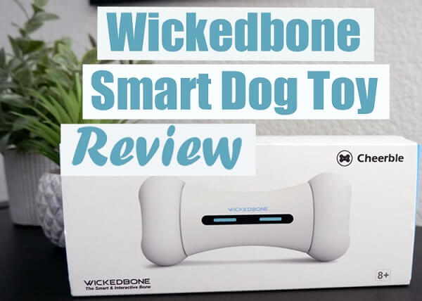 Wickedbone Smart Dog Toy Review
