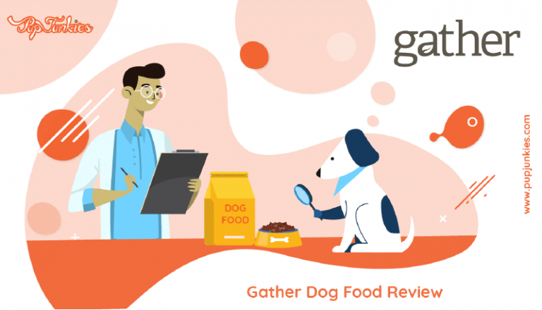 Gather Dog Food Review
