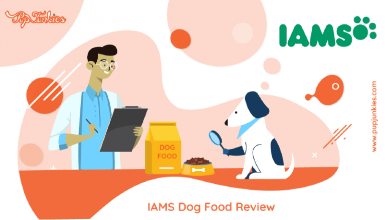 Iams Dog Food Review